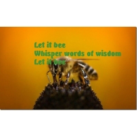 Let it bee
